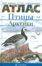 Овсянникова Екатерина Владимировна