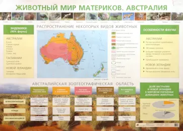 Елена Курашева - Животный мир материков. Австралия Елена Курашева - Животный мир материков. Австралия обложка книги