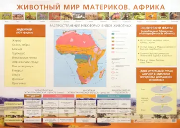 Елена Курашева - Животный мир материков. Африка Елена Курашева - Животный мир материков. Африка обложка книги