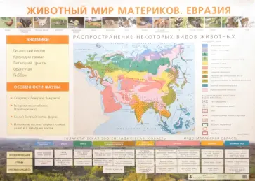 Елена Курашева - Животный мир материков. Евразия Елена Курашева - Животный мир материков. Евразия обложка книги