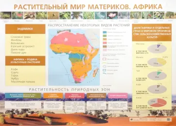 Елена Курашева - Растительный мир материков. Африка Елена Курашева - Растительный мир материков. Африка обложка книги