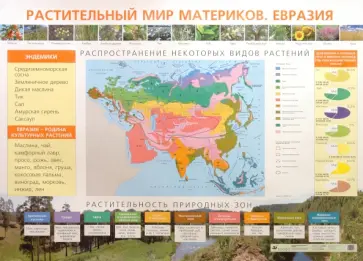 Елена Курашева - Растительный мир материков. Евразия Елена Курашева - Растительный мир материков. Евразия обложка книги