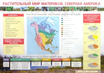 Елена Курашева - Растительный мир материков. Северная Америка Елена Курашева - Растительный мир материков. Северная Америка обложка книги