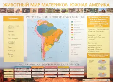 Елена Курашева - Животный мир материков. Южная Америка Елена Курашева - Животный мир материков. Южная Америка обложка книги