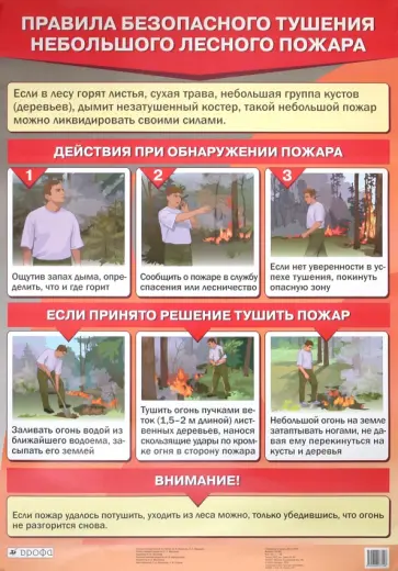 Латчук, Миронов - Правила безопасного тушения небольшого лесного пожара Латчук, Миронов - Правила безопасного тушения небольшого лесного пожара обложка книги