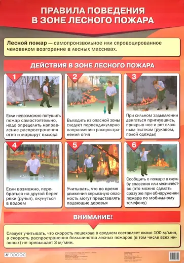 Латчук, Миронов - Правила поведения в зоне лесного пожара Латчук, Миронов - Правила поведения в зоне лесного пожара обложка книги