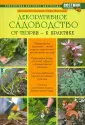Калашников Д.