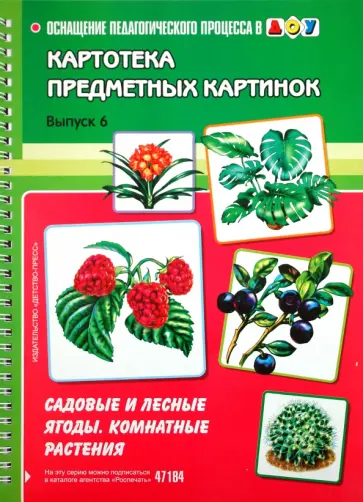 Нищева, Нищев - Картотека предметных картинок. Выпуск №6. Садовые и лесные ягоды. Комнатные растения Нищева, Нищев - Картотека предметных картинок. Выпуск №6. Садовые и лесные ягоды. Комнатные растения обложка книги