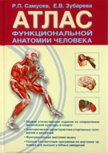 Самусев, Зубарева - Атлас функциональной анатомии человека Самусев, Зубарева - Атлас функциональной анатомии человека обложка книги