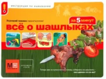 Всё о шашлыках за 5 минут обложка книги