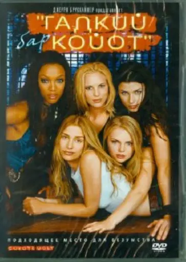 Дэвид Макнэлли - Бар "Гадкий Койот" (DVD) обложка книги