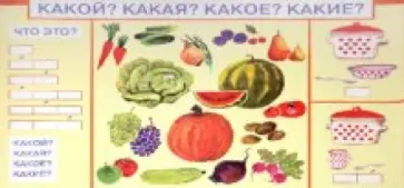 О. Джежелей - Какой? Какая? Какое? Какие? обложка книги