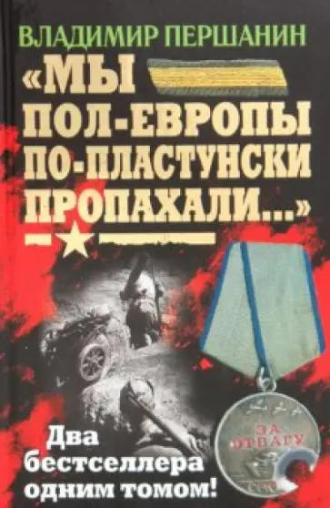 Владимир Першанин - "Мы пол-Европы по-пластунски пропахали..." обложка книги