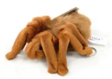 Тарантул (4726) обложка книги