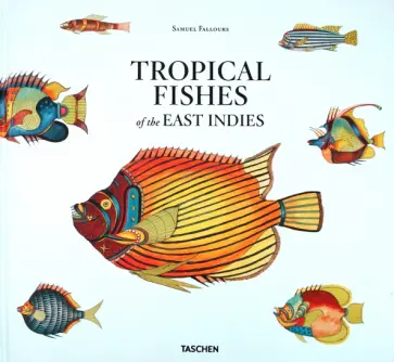 Samuel Fallours - Tropical Fishes of the East Indies обложка книги