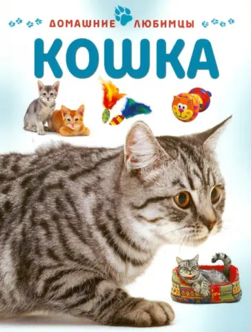 Мэтью Рейнер - Кошка обложка книги