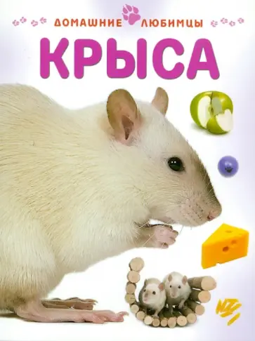 Мэтью Рейнер - Крыса обложка книги
