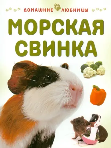 Мэтью Рейнер - Морская свинка обложка книги
