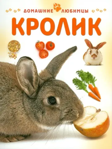 Мэтью Рейнер - Кролик обложка книги