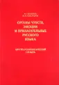 Колбенева Марина Геннадьевна