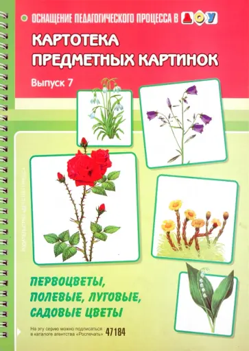 Наталия Нищева - Картотека предметных картинок. Выпуск 7. Первоцветы, полевые, луговые, садовые цветы обложка книги