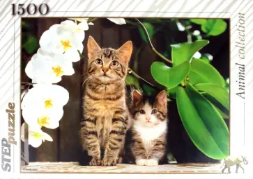 Step Puzzle-1500 "Котята и орхидея" (83040) обложка книги