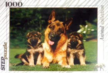 Step Puzzle-1000 "Дружная семейка" (79091) обложка книги