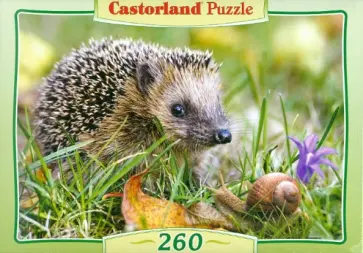 Puzzle-260 "Ежик" (B-26777) Puzzle-260 "Ежик" (B-26777) обложка книги