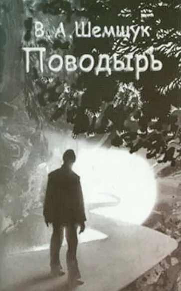 Владимир Шемшук - Поводырь обложка книги