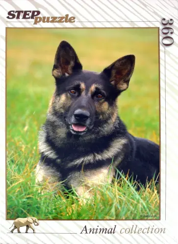 Step Puzzle-360 "Верный друг" (73057) обложка книги