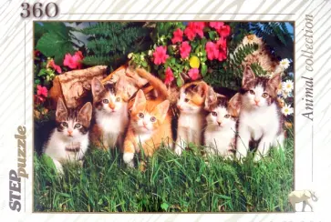 Step Puzzle-360 "Дружная семейка" (73058) обложка книги