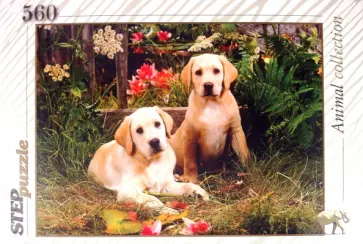 Step Puzzle-560 "Щенки лабрадора" (78076) обложка книги