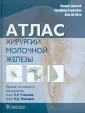 Пети Жан Ив