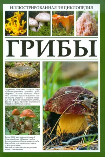 Иллюстрированная энциклопедия. Грибы Иллюстрированная энциклопедия. Грибы обложка книги
