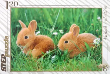 Step Puzzle-120 Золотая серия-9 (75009) обложка книги