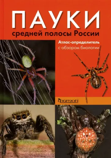 Сейфулина, Карцев - Пауки средней полосы России. Атлас - определитель с обзором биологии Сейфулина, Карцев - Пауки средней полосы России. Атлас - определитель с обзором биологии обложка книги