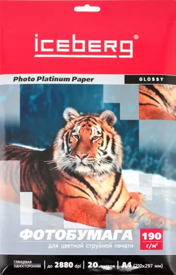 Бумага глянцевая односторонняя (194194196447) обложка книги