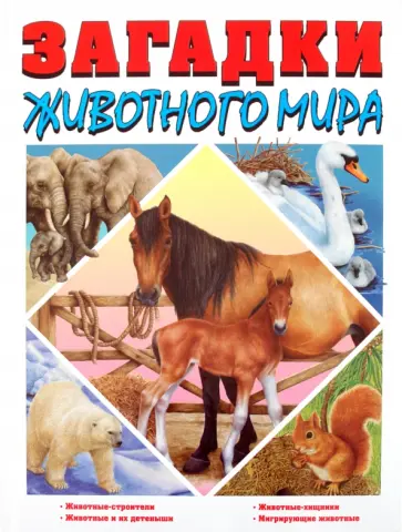 Элеонора Барзотти - Загадки животного мира Элеонора Барзотти - Загадки животного мира обложка книги