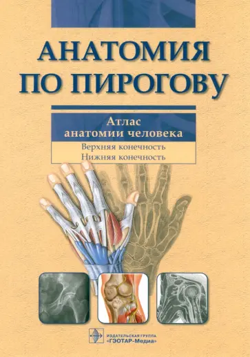 Шилкин, Филимонов - Анатомия по Пирогову. Атлас анатомии человека. Том 1. Верхняя конечность. Нижняя конечность(+CD) обложка книги