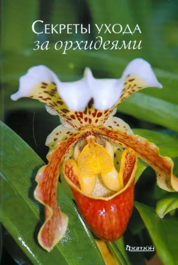 Александр Зайцев - Секреты ухода за орхидеями обложка книги