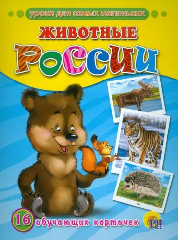 Обучающие карточки. Животные России Обучающие карточки. Животные России обложка книги
