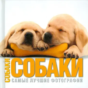 Вито Буоно - Собаки. Самые лучшие фотографии обложка книги