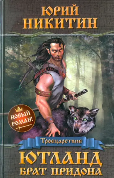 Юрий Никитин - Ютланд, брат Придона обложка книги