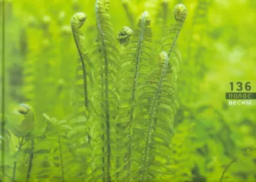 Фотоальбом: 136 полос весны обложка книги