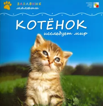 Майкл Тейтелбаум - Котенок исследует мир обложка книги