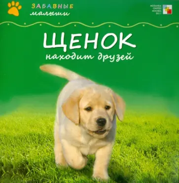 Майкл Тейтелбаум - Щенок находит друзей обложка книги