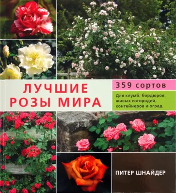 Питер Шнайдер - Лучшие розы мира обложка книги