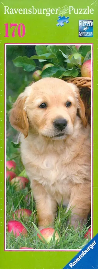Пазл-панорама "Золотой Ретривер", 170 элементов (151219) обложка книги
