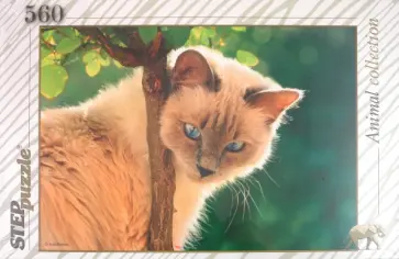 Step Puzzle-560 "Синеглазая красавица" (78080) обложка книги