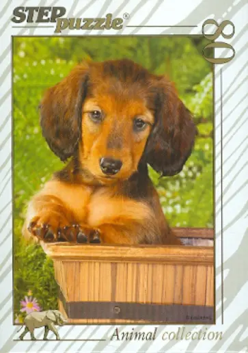 Step Puzzle-80 Золотая серия-10 (77010) обложка книги